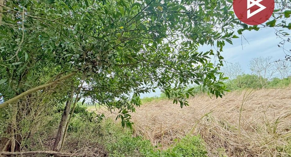 Terreno en venta en Nong Chok, Bangkok
