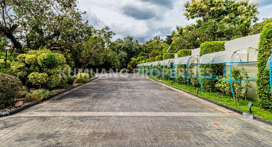 For sale 4 bedrooms house in Mae Rim, Chiang Mai