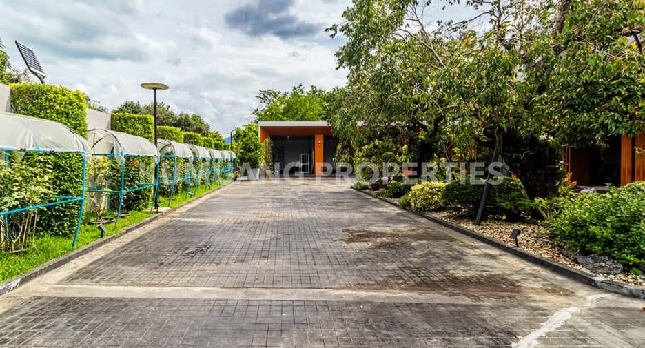 For sale 4 bedrooms house in Mae Rim, Chiang Mai