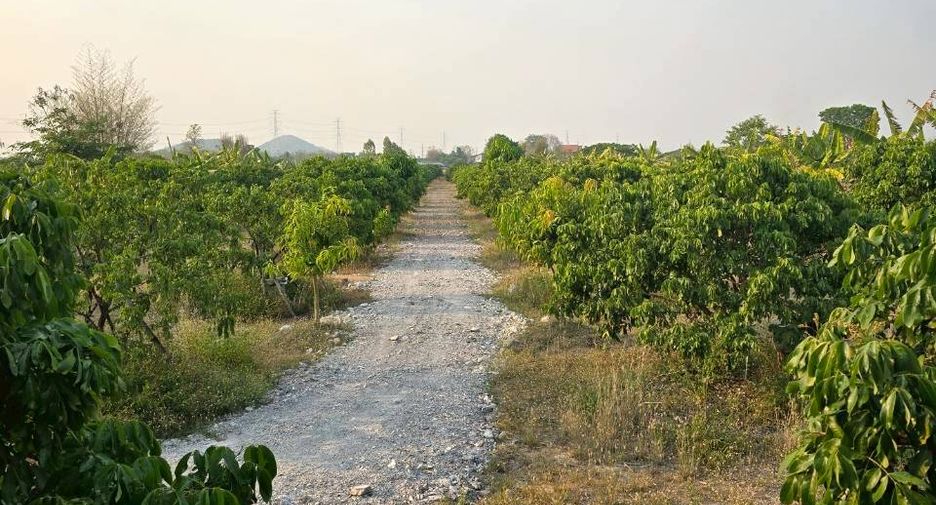 For sale land in Mueang Lamphun, Lamphun