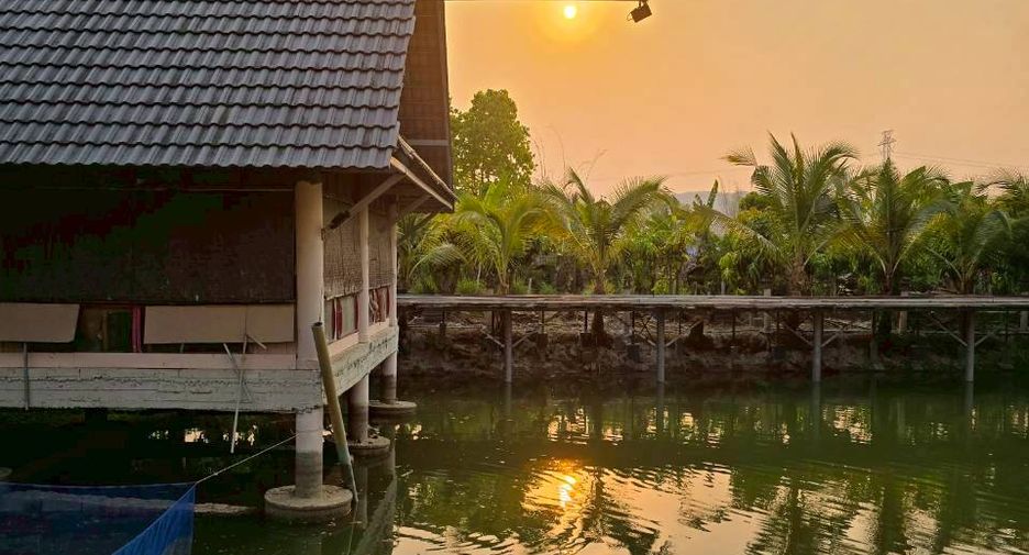 For sale land in Mueang Lamphun, Lamphun