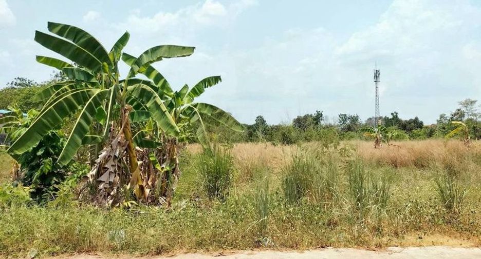 À vendre terrain à Si Racha, Chonburi