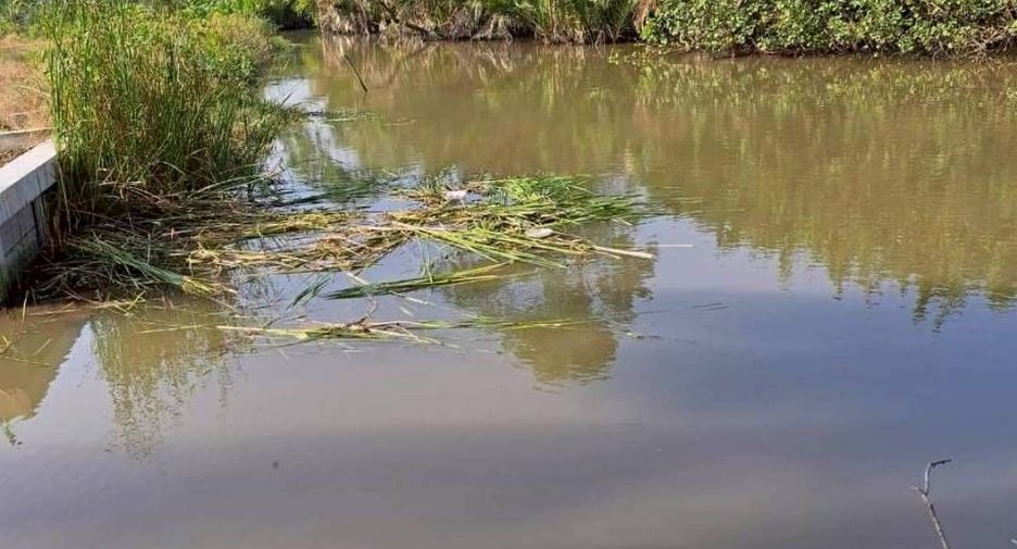 For sale land in Amphawa, Samut Songkhram