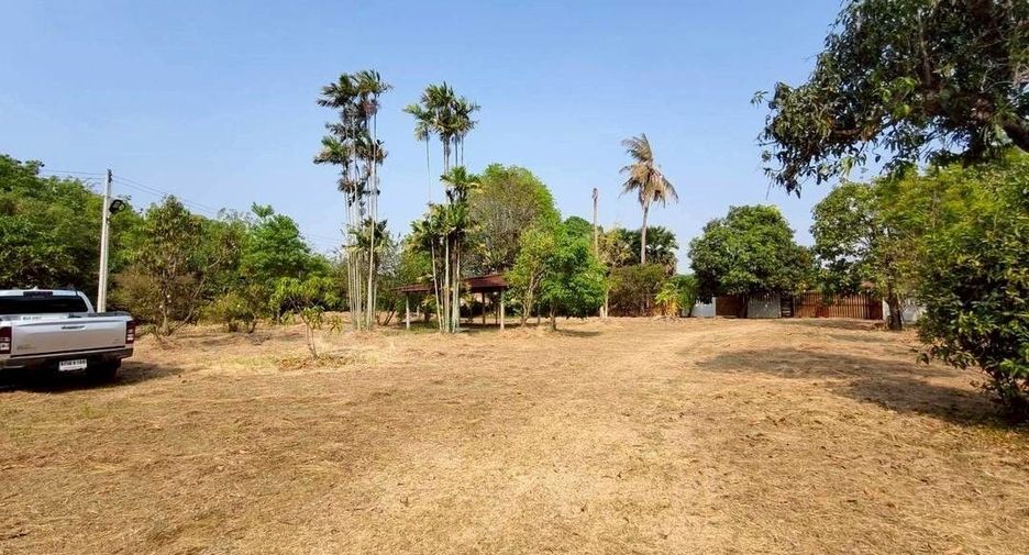 For sale land in Song Phi Nong, Suphan Buri