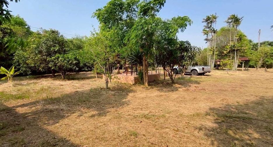 For sale land in Song Phi Nong, Suphan Buri