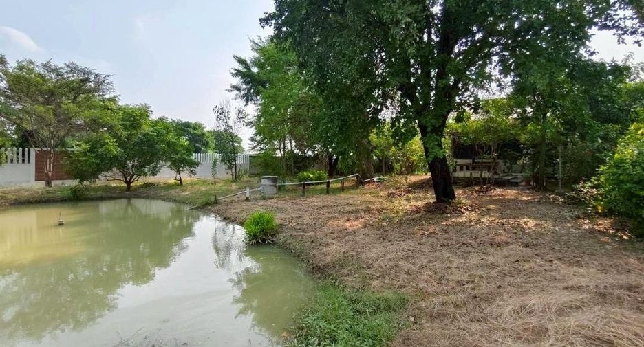 For sale land in Song Phi Nong, Suphan Buri