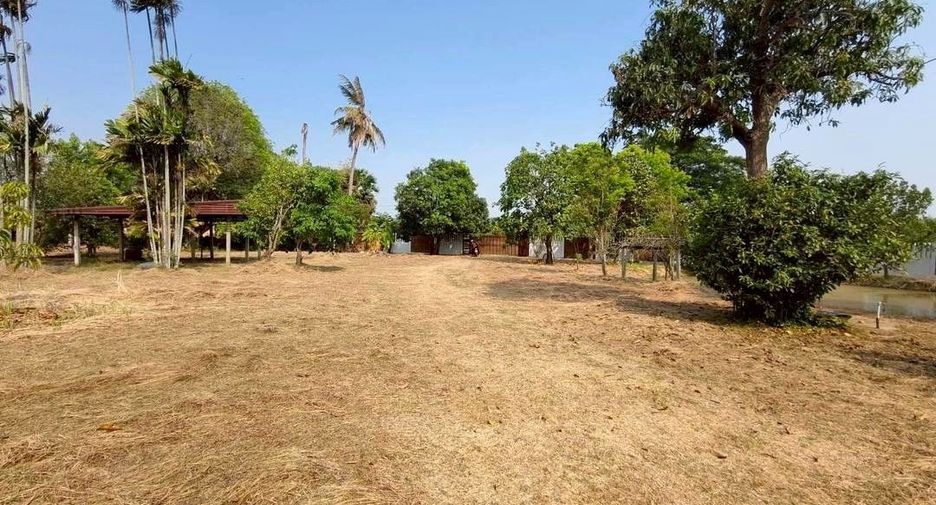 For sale land in Song Phi Nong, Suphan Buri