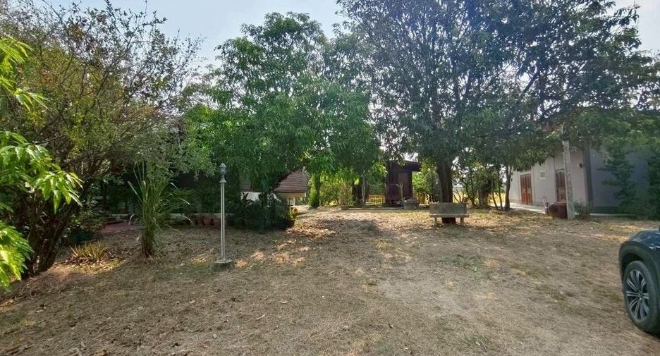 For sale land in Song Phi Nong, Suphan Buri
