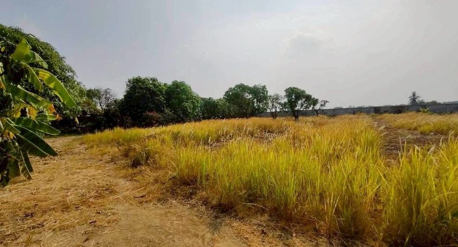 For sale land in Song Phi Nong, Suphan Buri