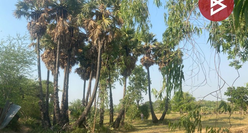 Grundstück zum Kauf in Chonnabot, Khon Kaen