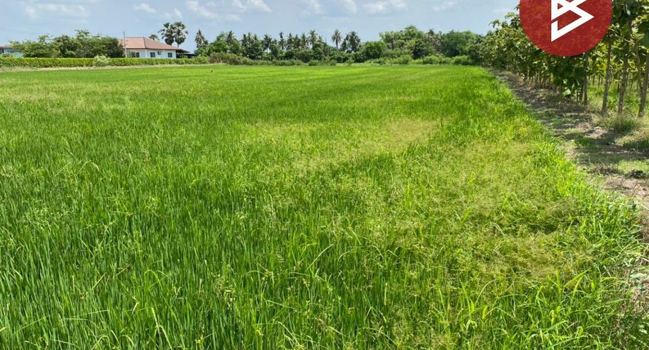 Grundstück zum Kauf in Kamphaeng Saen, Nakhon Pathom