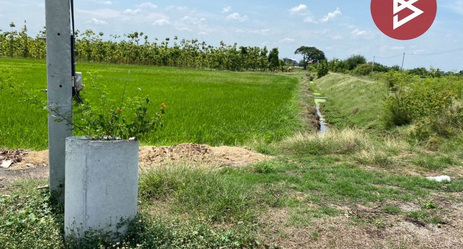 Grundstück zum Kauf in Kamphaeng Saen, Nakhon Pathom