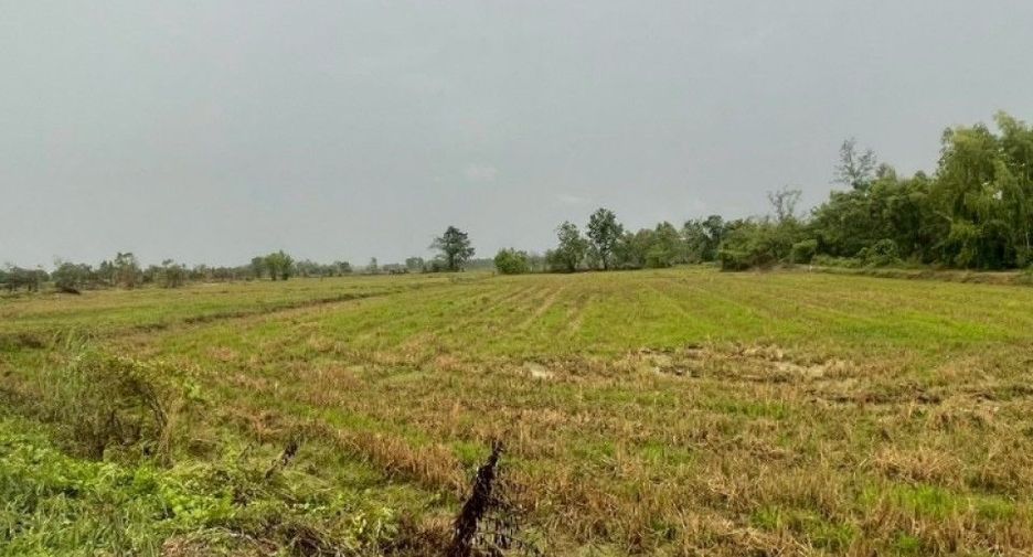 For sale land in Khanu Woralaksaburi, Kamphaeng Phet