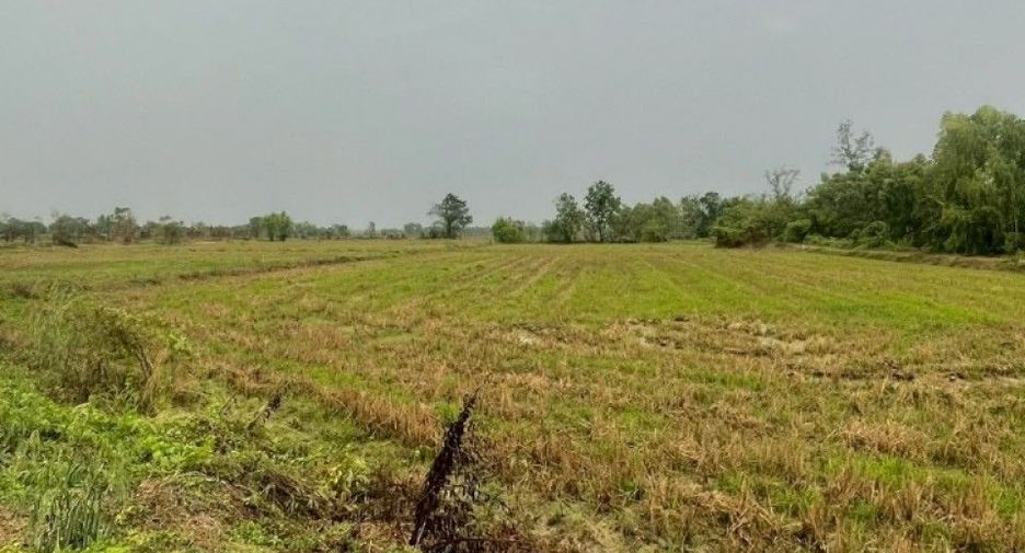 For sale land in Khanu Woralaksaburi, Kamphaeng Phet