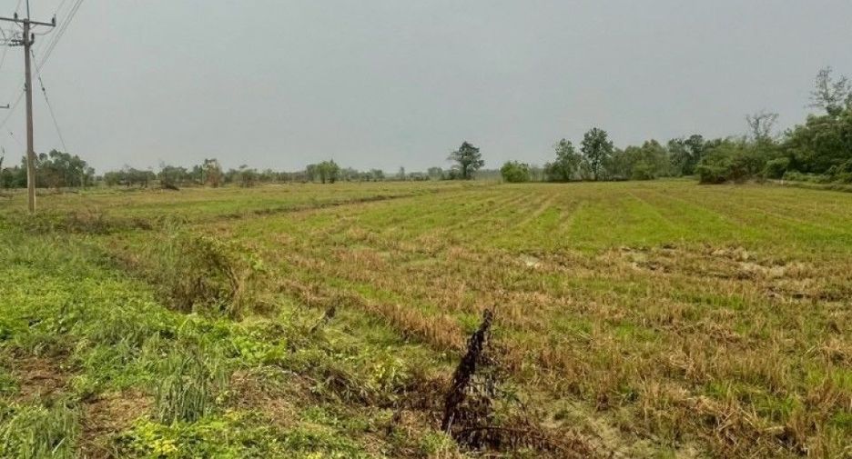 For sale land in Khanu Woralaksaburi, Kamphaeng Phet