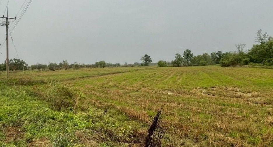 For sale land in Khanu Woralaksaburi, Kamphaeng Phet