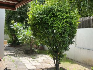 For sale 4 bedrooms house in Bang Kruai, Nonthaburi