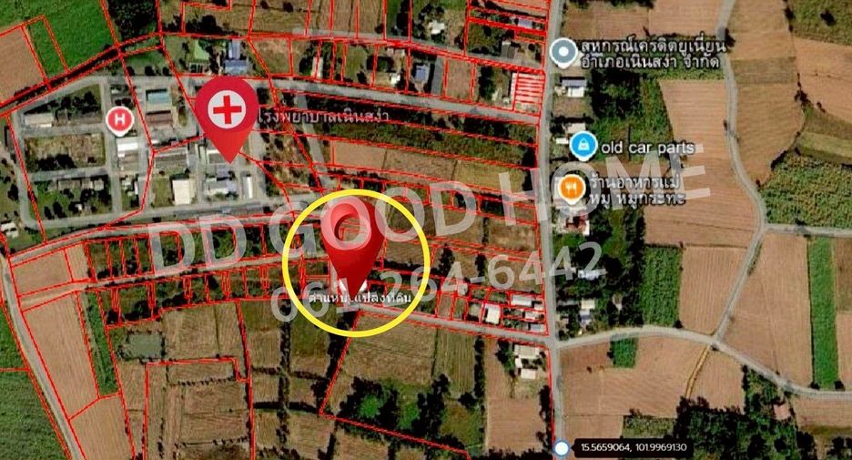 For sale land in Noen Sa-nga, Chaiyaphum