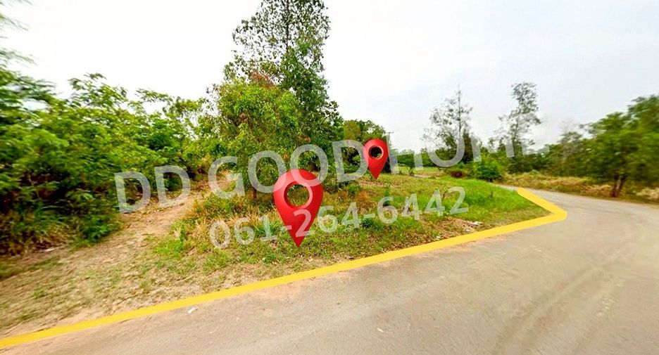 For sale land in Noen Sa-nga, Chaiyaphum