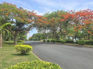 出售 土地 在 Bang Lamung, Chon Buri