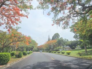 出售 土地 在 Bang Lamung, Chon Buri