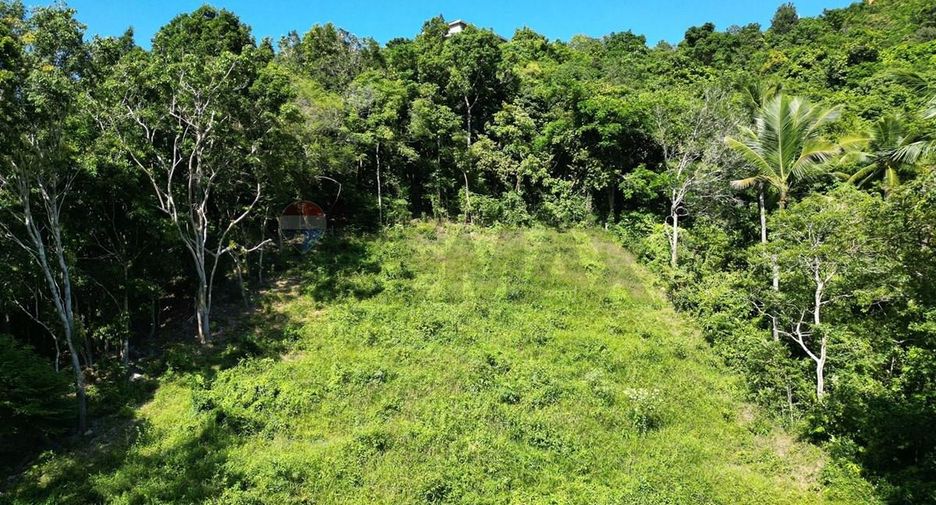 For sale land in Ko Samui, Surat Thani