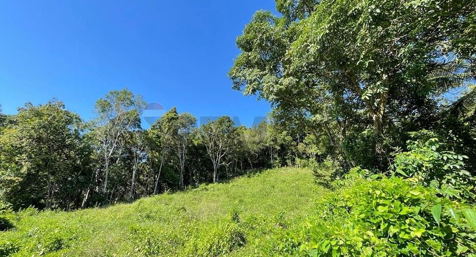 For sale land in Ko Samui, Surat Thani