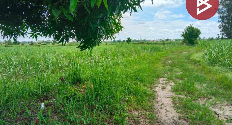 For sale land in Mueang Kamphaeng Phet, Kamphaeng Phet