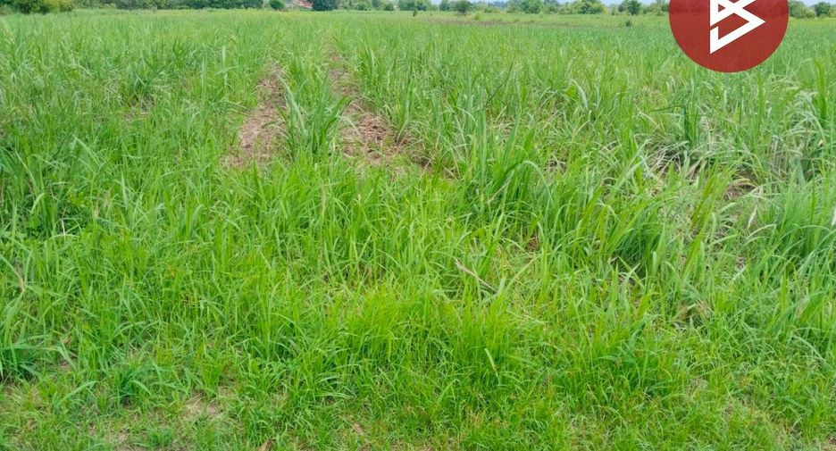For sale land in Mueang Kamphaeng Phet, Kamphaeng Phet