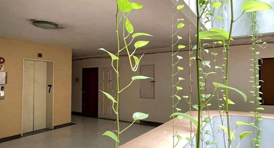 For rent 1 Beds condo in Mueang Chiang Mai, Chiang Mai