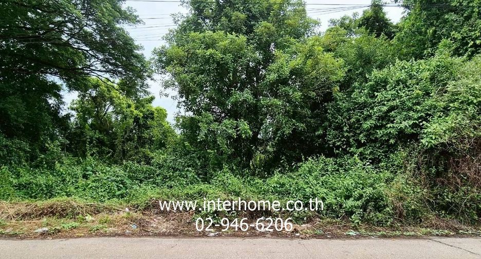 For sale land in Mueang Prachinburi, Prachin Buri