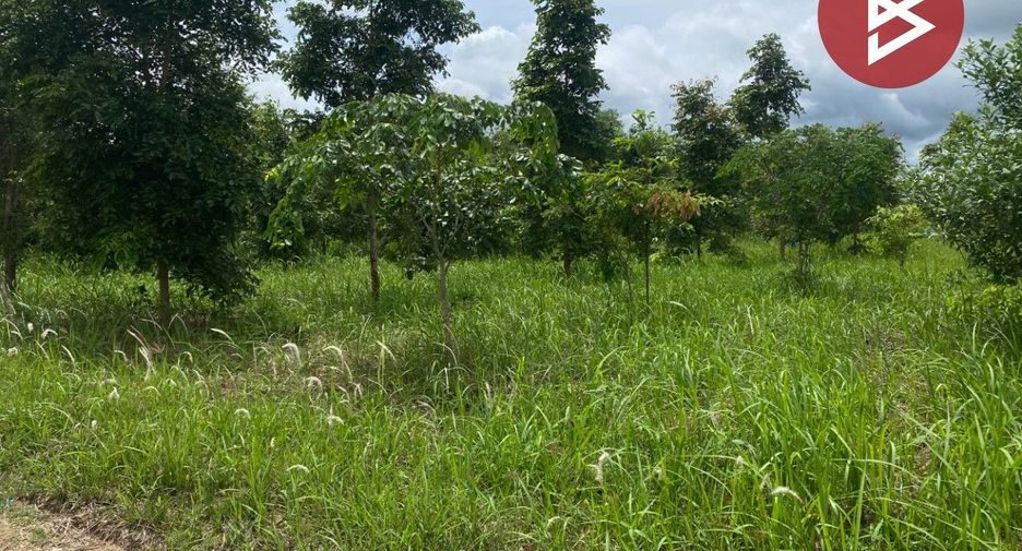 出售 土地 在 Sikhio, Nakhon Ratchasima