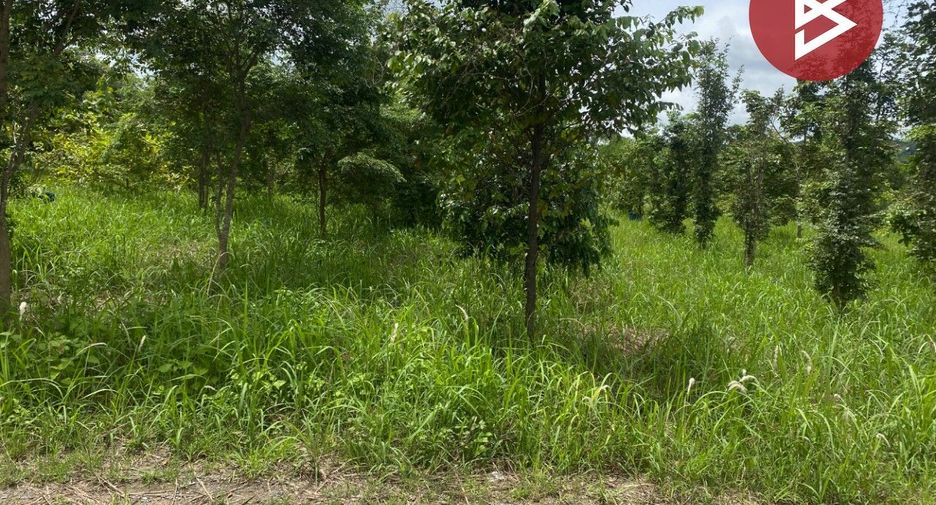 出售 土地 在 Sikhio, Nakhon Ratchasima