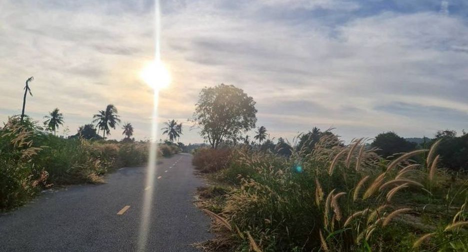 ขาย ที่ดิน ใน สัตหีบ, ชลบุรี