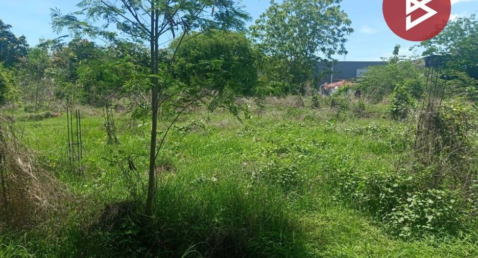 Grundstück zum Kauf in Tha Tako, Nakhon Sawan