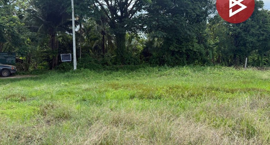 For sale land in Mueang Lamphun, Lamphun