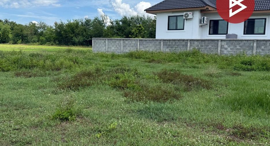 For sale land in Mueang Lamphun, Lamphun
