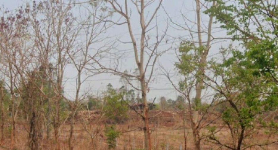 Grundstück zum Kauf in Phon Sawan, Nakhon Phanom