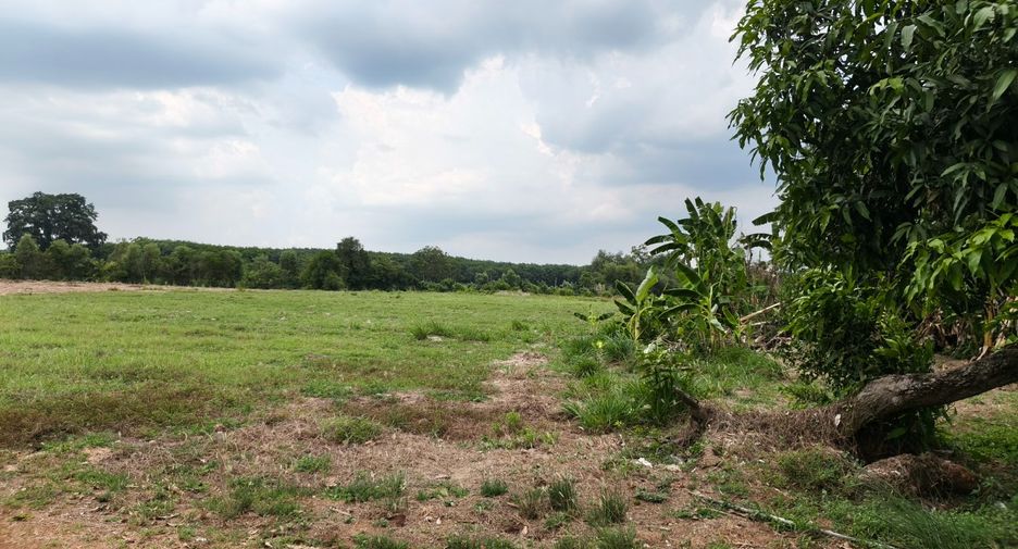 出售 土地 在 Bo Thong, Chon Buri