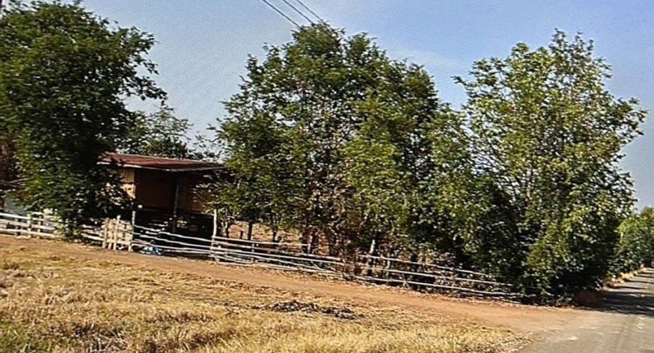 ขาย ที่ดิน ใน ชนแดน, เพชรบูรณ์