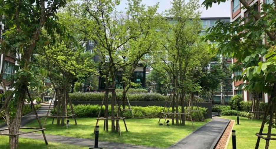 For rent and for sale 1 bed condo in Mueang Chiang Mai, Chiang Mai