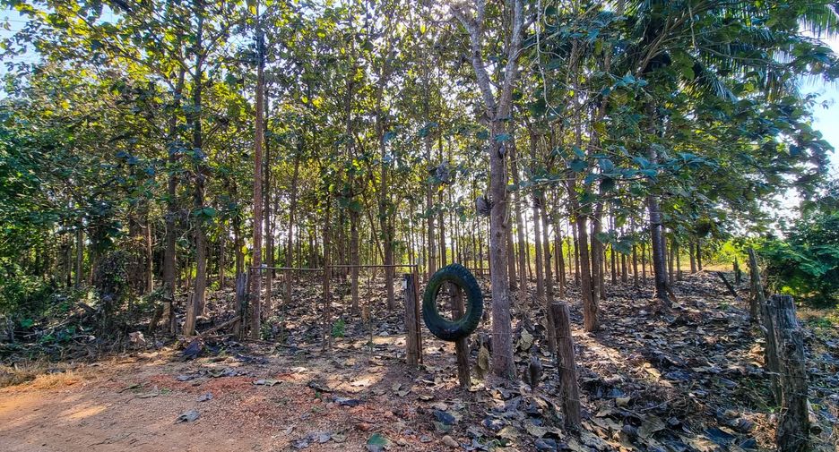 For sale land in Mae Phrik, Lampang