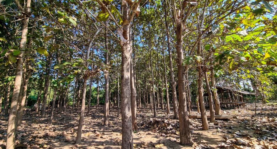 For sale land in Mae Phrik, Lampang