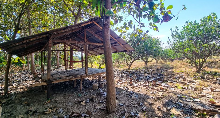 For sale land in Mae Phrik, Lampang