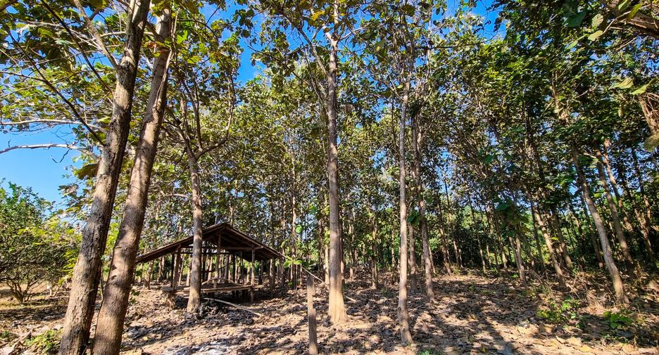 For sale land in Mae Phrik, Lampang
