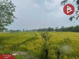 ขาย ที่ดิน ใน ขาณุวรลักษบุรี, กำแพงเพชร