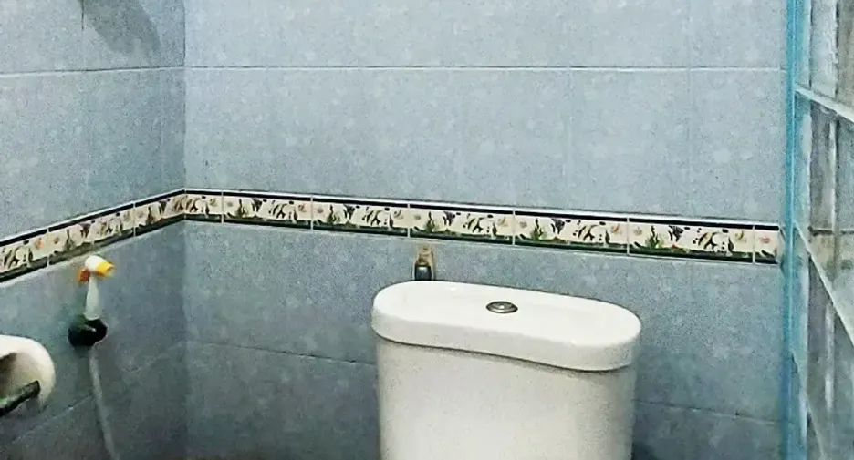 ขาย 3 ห้องนอน วิลล่า ใน เมืองระยอง, ระยอง