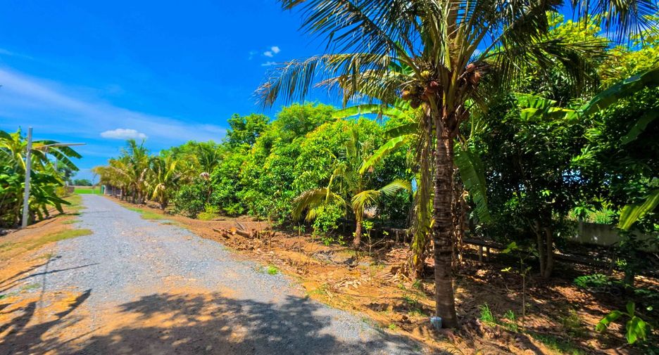 For sale land in Doem Bang Nang Buat, Suphan Buri