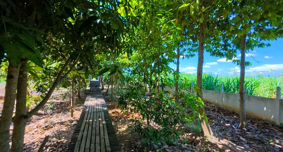 For sale land in Doem Bang Nang Buat, Suphan Buri