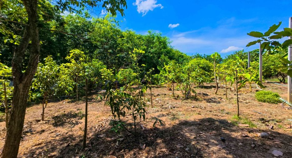 For sale land in Doem Bang Nang Buat, Suphan Buri